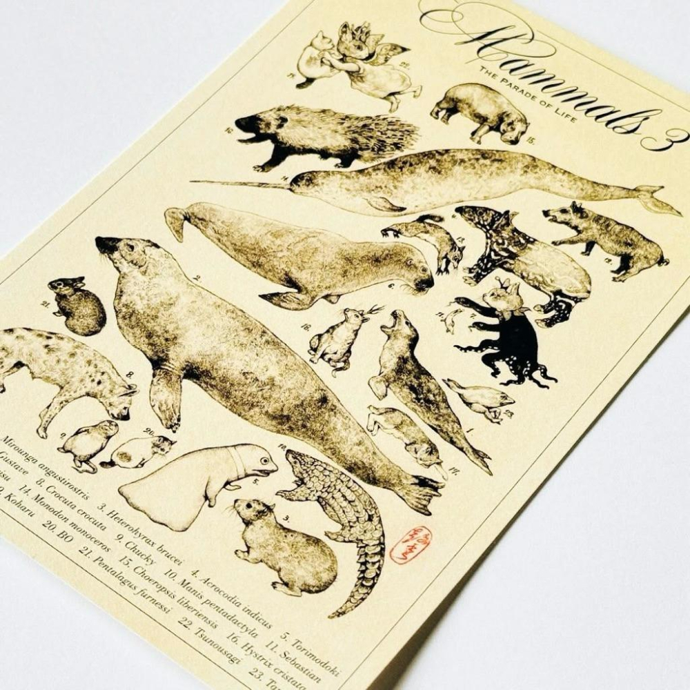 ヒグチユウコ｜𝗛𝗶𝗴𝘂𝗰𝗵𝗶 𝗬𝘂𝗸𝗼 大哺乳類展𝟯 ポストカード 樋口裕子 明信片 哺乳類圖鑑 𝗚𝗨𝗦𝗧𝗔𝗩𝗘君 小春-細節圖5