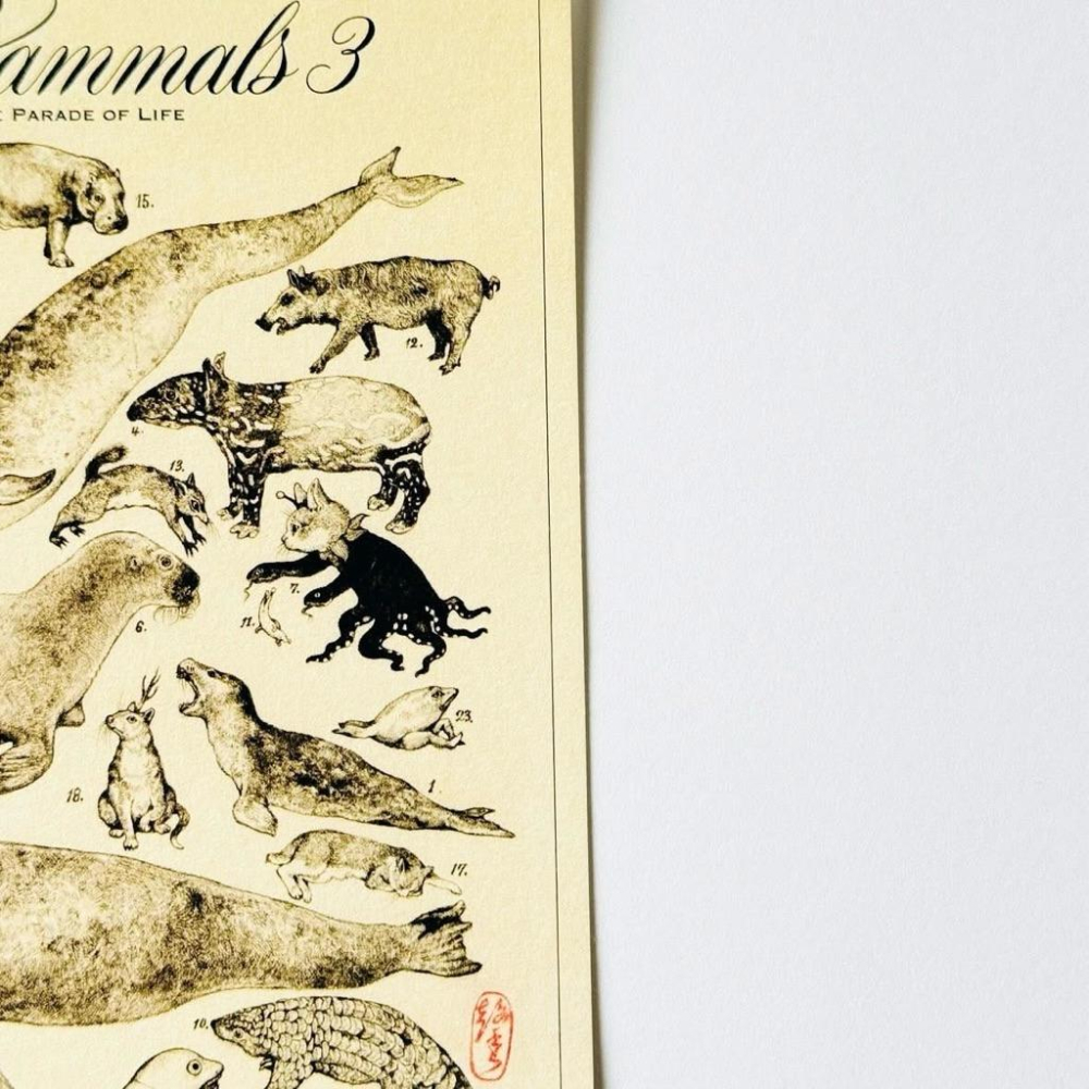 ヒグチユウコ｜𝗛𝗶𝗴𝘂𝗰𝗵𝗶 𝗬𝘂𝗸𝗼 大哺乳類展𝟯 ポストカード 樋口裕子 明信片 哺乳類圖鑑 𝗚𝗨𝗦𝗧𝗔𝗩𝗘君 小春-細節圖6