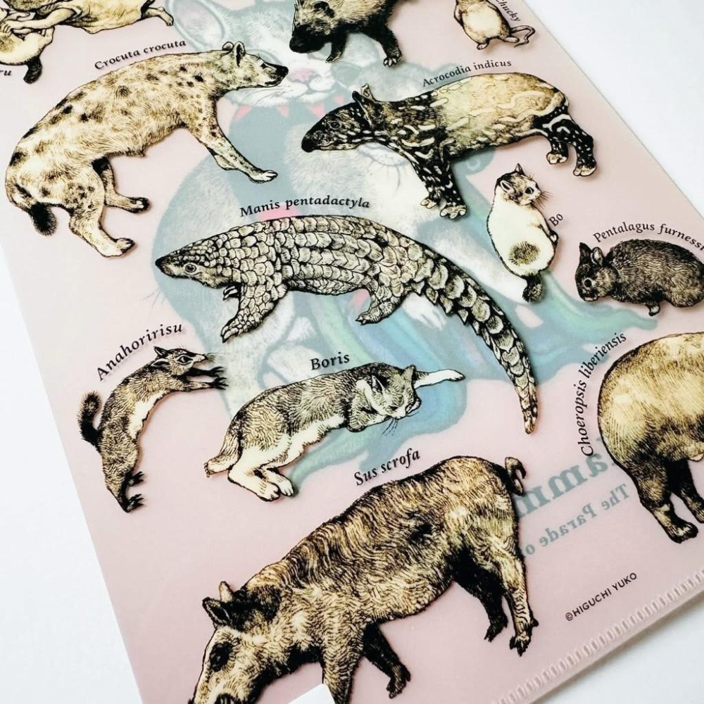 ヒグチユウコ｜𝗛𝗶𝗴𝘂𝗰𝗵𝗶 𝗬𝘂𝗸𝗼 大哺乳類展𝟯 クリアファイル𝗚 樋口裕子 資料夾 抱著黃斑蹄兔的𝗚𝗨𝗦𝗧𝗔𝗩𝗘君-細節圖8