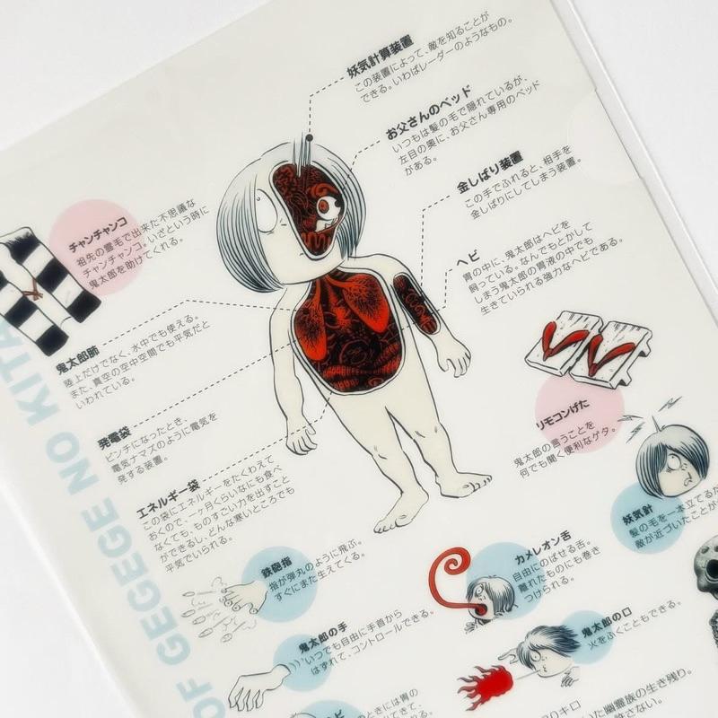 妖怪舎｜𝗬𝗼𝗸𝗮𝗶𝘀𝗵𝗮 ゲゲゲの鬼太郎 クリアファイル 鬼太郎のひみつ 鬼太郎的秘密 身體解說 資料夾 文具 雜貨-細節圖2