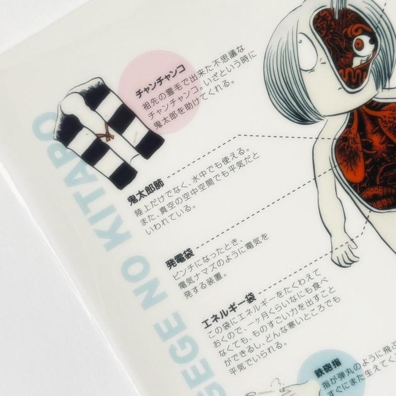 妖怪舎｜𝗬𝗼𝗸𝗮𝗶𝘀𝗵𝗮 ゲゲゲの鬼太郎 クリアファイル 鬼太郎のひみつ 鬼太郎的秘密 身體解說 資料夾 文具 雜貨-細節圖4