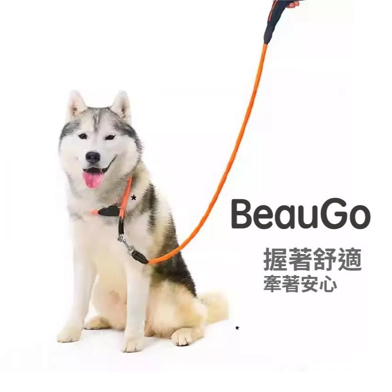 【BeauGo】經典寵物牽繩 反光牽繩 長短牽繩粗細牽繩 1.2/2m大型犬小型犬散步粗堅固柔軟握把不傷手合金扣-細節圖5