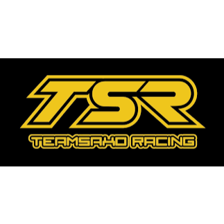 TeamSaxo OP件套装/GK-200 卡丁車21T 金屬伺服片TS03038-細節圖2