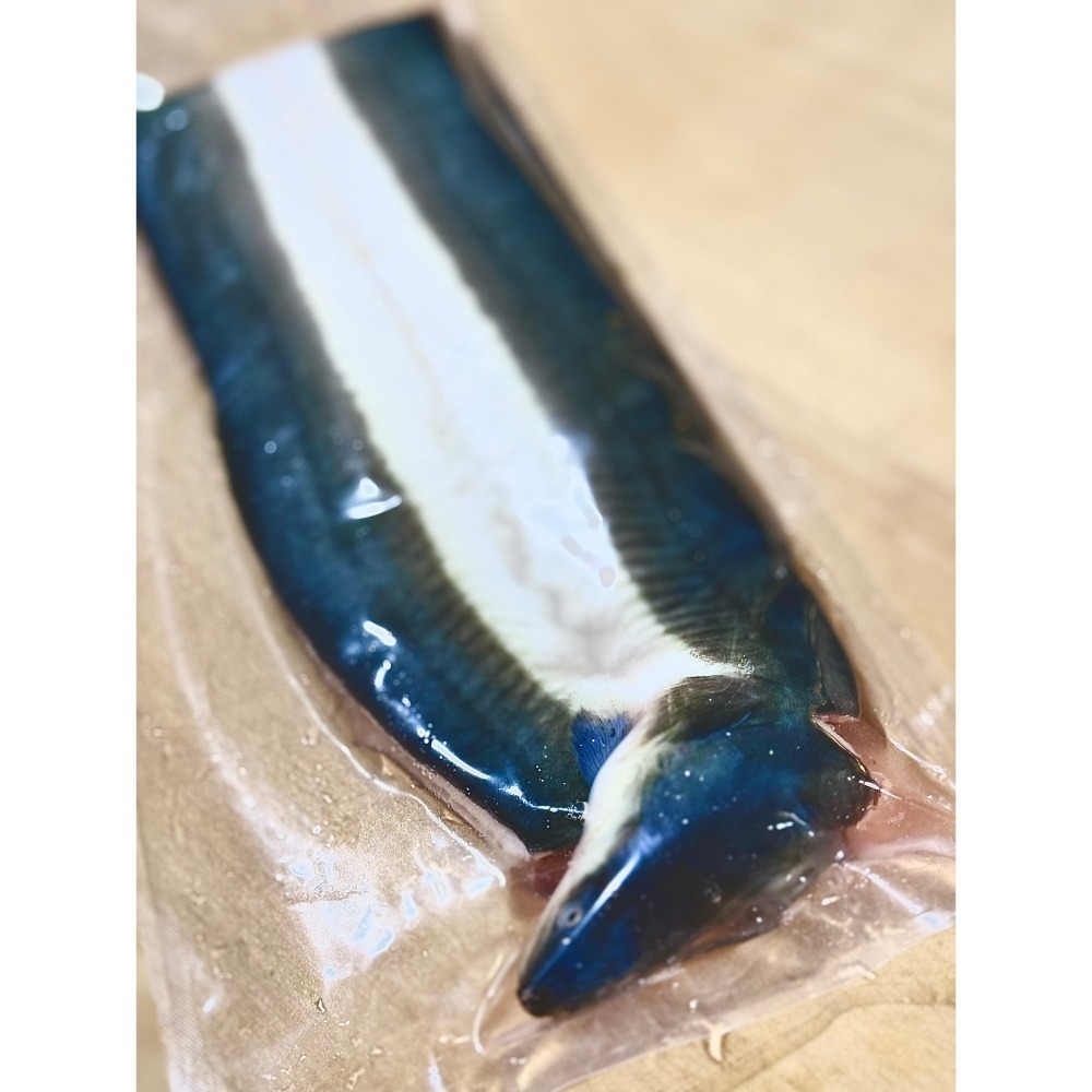 <鰻鰻專賣店>🔥特大日本生鰻魚片🔥已去骨，去內臟❗❗🉐適合煎炒煮炸三杯🍴#生鰻#鰻魚真空生魚-細節圖3