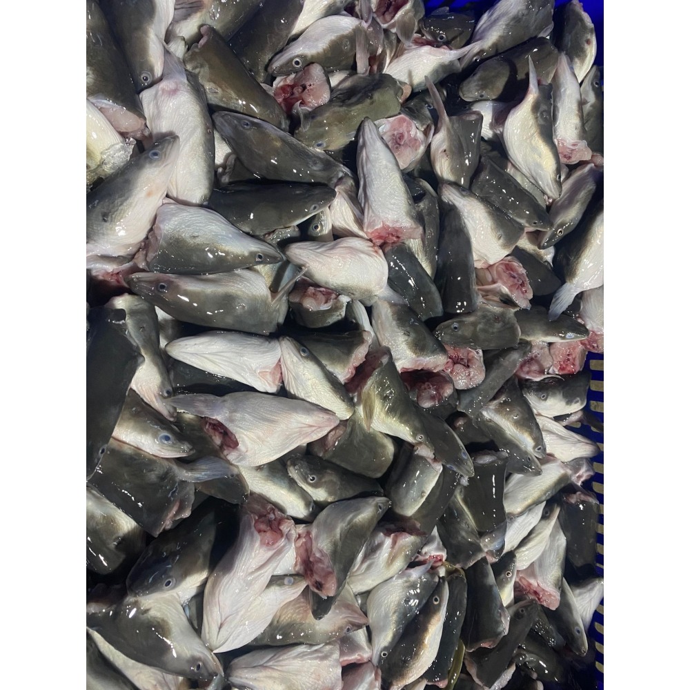 <鰻鰻專賣店>❗❗鰻魚頭❗❗，一公斤裝，鰻頭燉煮中藥#鰻魚#禮盒#日式#蒲燒#鰻-細節圖3