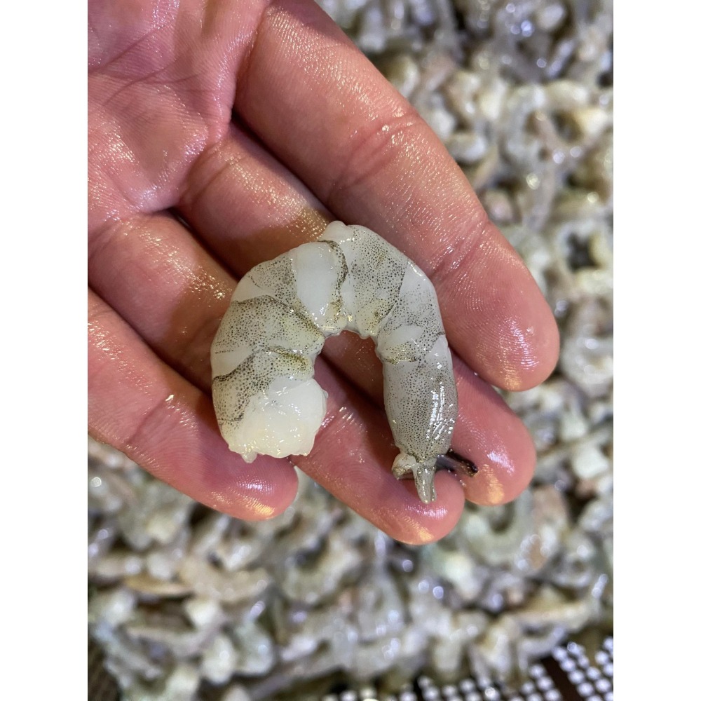 <鰻鰻專賣店>🔥大蝦仁🔥400g無泡藥無膨發❗❗適合做蝦仁炒飯、家常美味的好幫手🍤#海鮮#蝦仁🦐-細節圖3