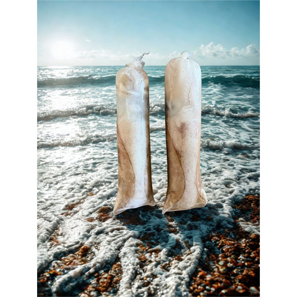 <鰻鰻專賣店>嚴選單凍現流軟絲450-500g/卷-細節圖2