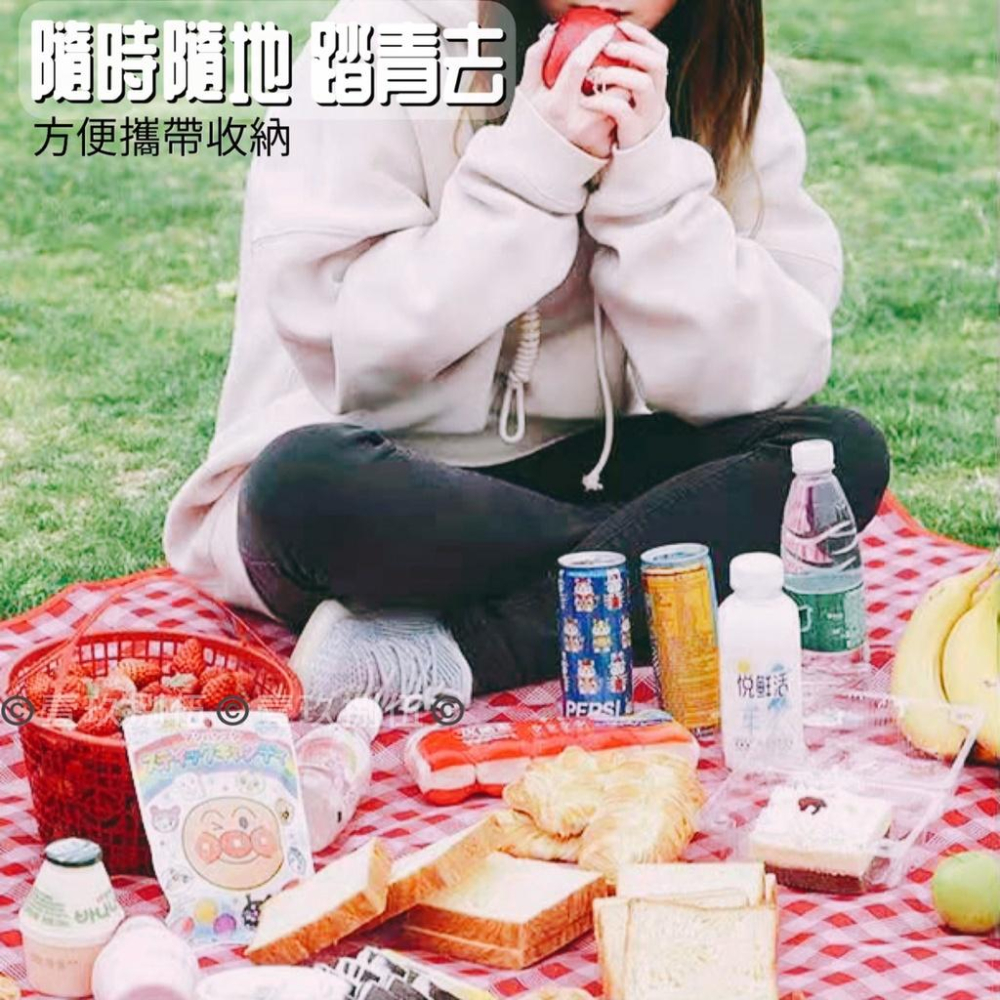加厚 環保 防水 野餐墊 牛津布【附電子發票 快購 批發】野餐 露營 出遊 防潮墊 戶外用品 露營 睡墊 休閒墊 地墊-細節圖5