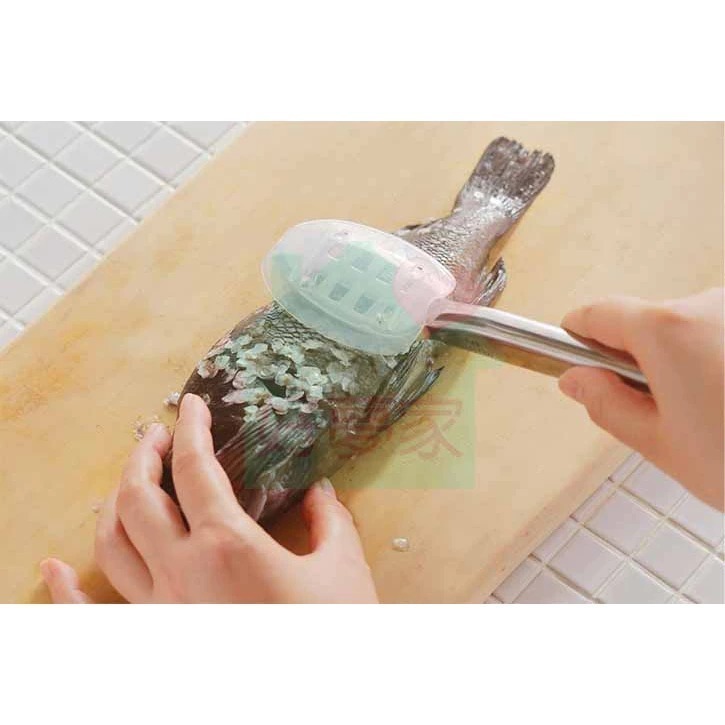 (現貨) KAI 貝印 魚鱗刮刀 日本製 刮魚鱗器 304 18-8 不鏽鋼 (附防噴蓋  一體成形) 【好夢家精品】-細節圖5