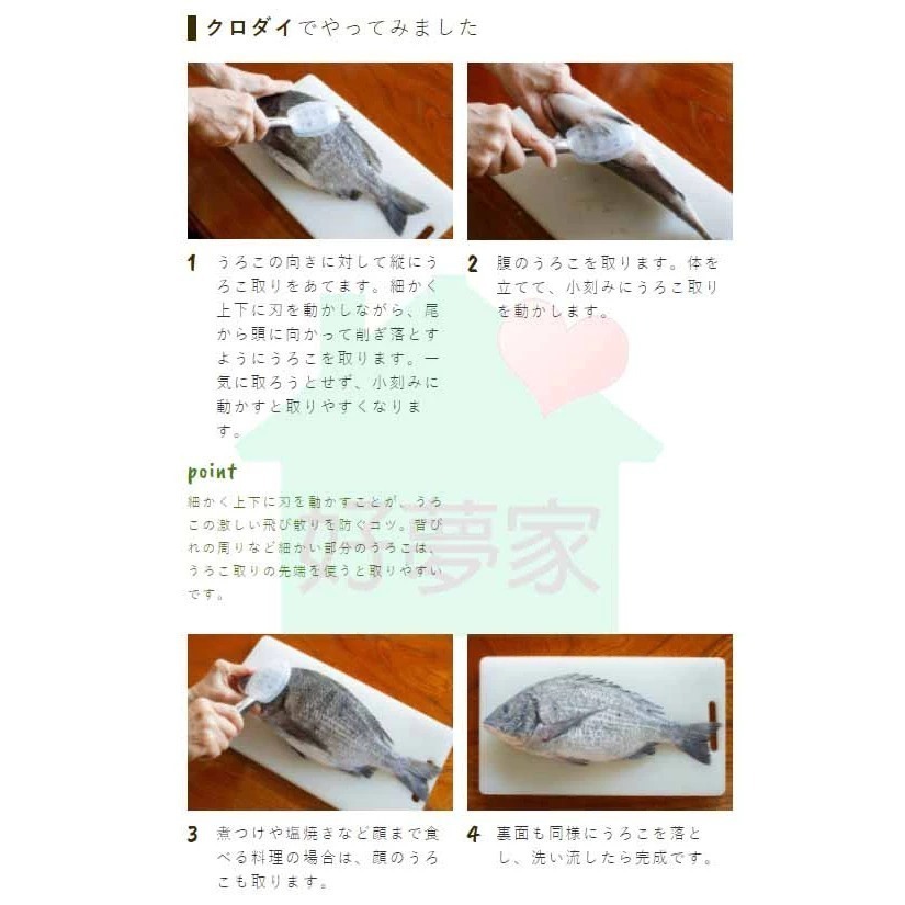 (現貨) KAI 貝印 魚鱗刮刀 日本製 刮魚鱗器 304 18-8 不鏽鋼 (附防噴蓋  一體成形) 【好夢家精品】-細節圖6