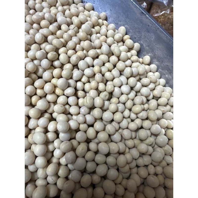 恩樂盛商行🌾加拿大產 非基因改造黃豆 600g-細節圖2