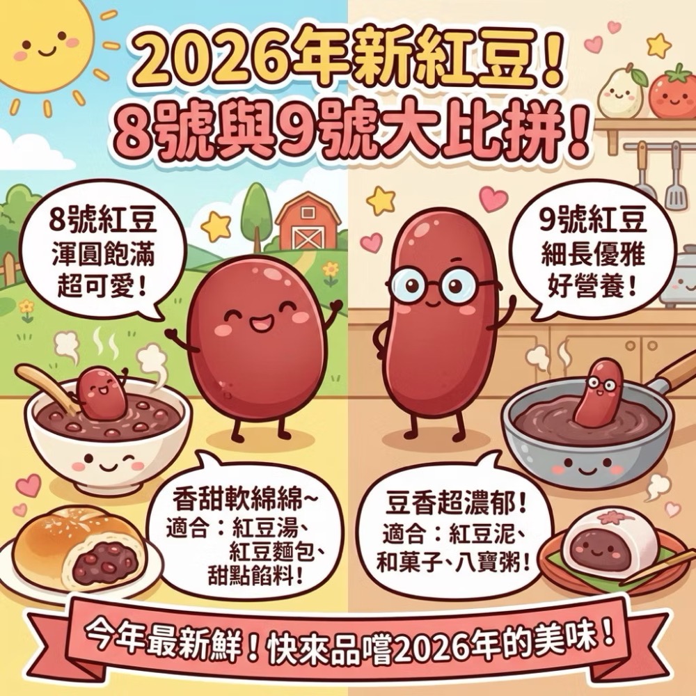 恩樂盛商行🌾台灣萬丹 9號紅豆 大顆豆 2026年收成 台斤/公斤）-細節圖4