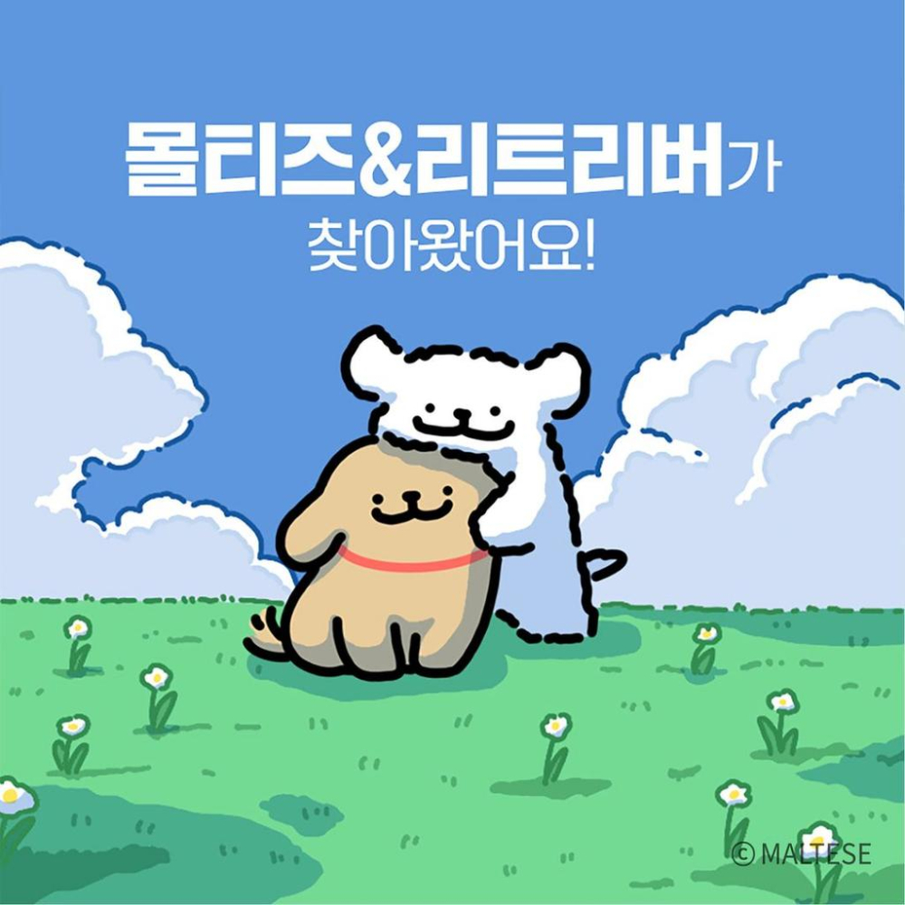 🇰🇷 韓國文創代購 🍀 Kakao Friends MALTESE 鑰匙圈吊飾 抱枕 娃娃 馬克杯 手機支架｜跨國失眠-細節圖8