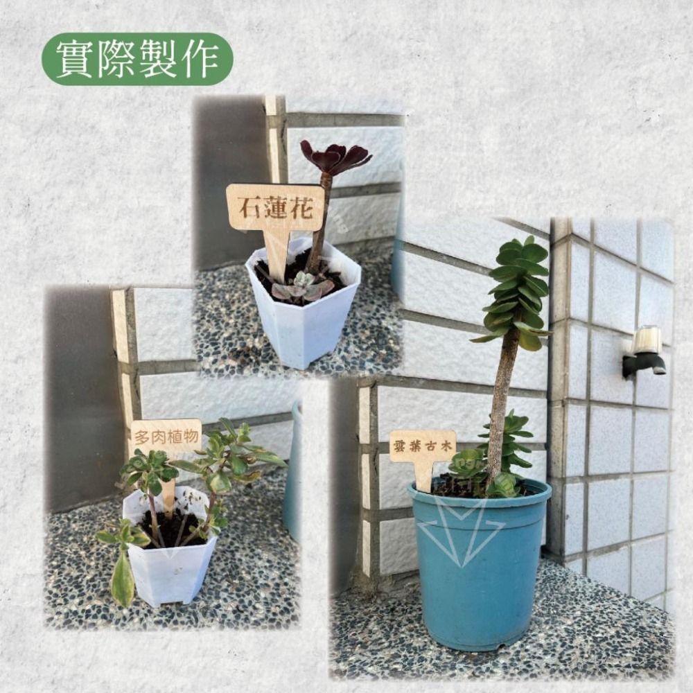 木淥雷射雕刻•客製化木質植物標示牌｜園藝盆栽多肉標籤名牌-細節圖3
