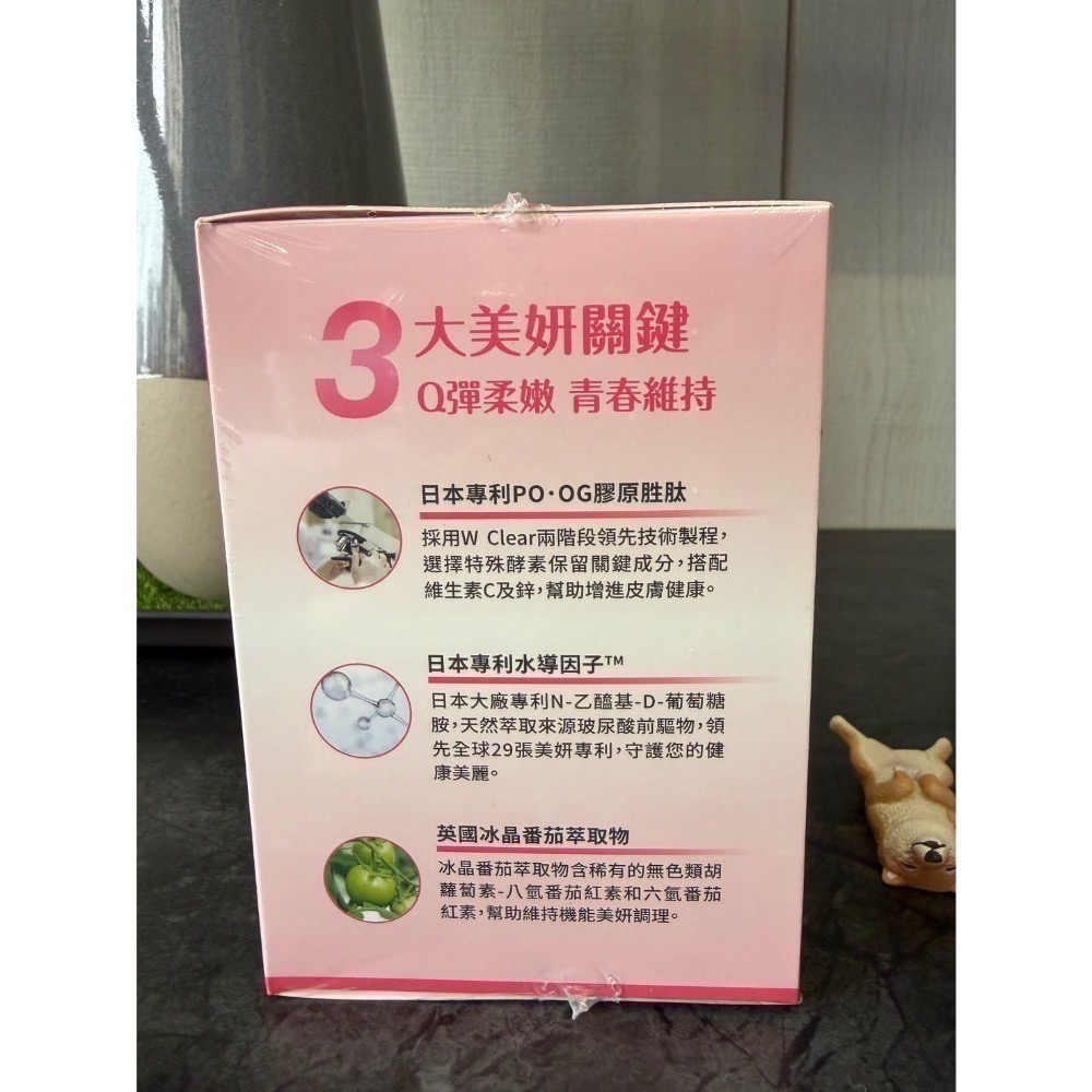 【正品保證】達摩本草 日本膠原蛋白胜肽珍珠粉 (15包/盒) 達摩本草 膠原蛋白 效期2028/02-細節圖3