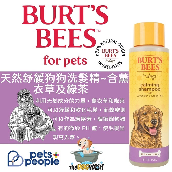 🐶現貨🔹原瓶原裝🐶美國名牌 Burt＇s Bees for Pets 小蜜蜂爺爺天然狗狗沐浴露-細節圖2