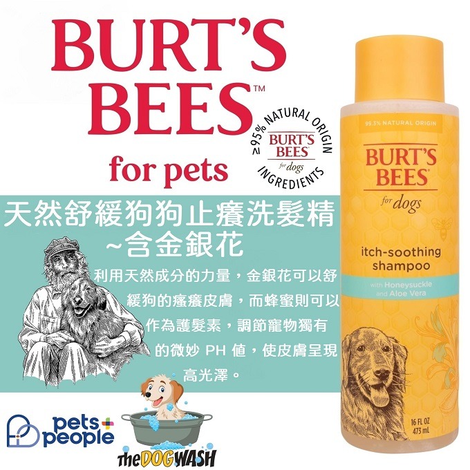 🐶現貨🔹原瓶原裝🐶美國名牌 Burt＇s Bees for Pets 小蜜蜂爺爺天然狗狗沐浴露-細節圖4