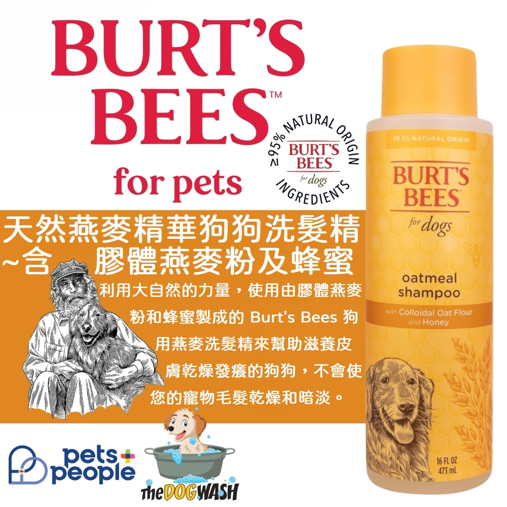 🐶現貨🔹原瓶原裝🐶美國名牌 Burt＇s Bees for Pets 小蜜蜂爺爺天然狗狗沐浴露-細節圖5