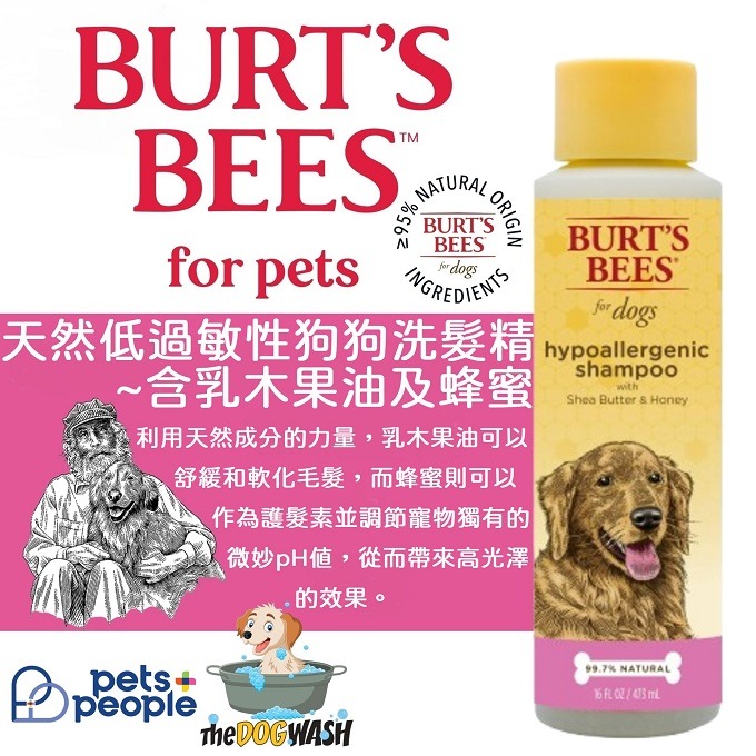 🐶現貨🔹原瓶原裝🐶美國名牌 Burt＇s Bees for Pets 小蜜蜂爺爺天然狗狗沐浴露-細節圖7