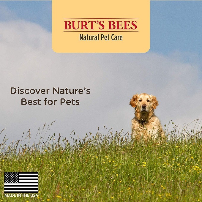 🐶現貨🔹原瓶原裝🐶美國名牌 Burt＇s Bees for Pets 小蜜蜂爺爺天然狗狗沐浴露-細節圖9