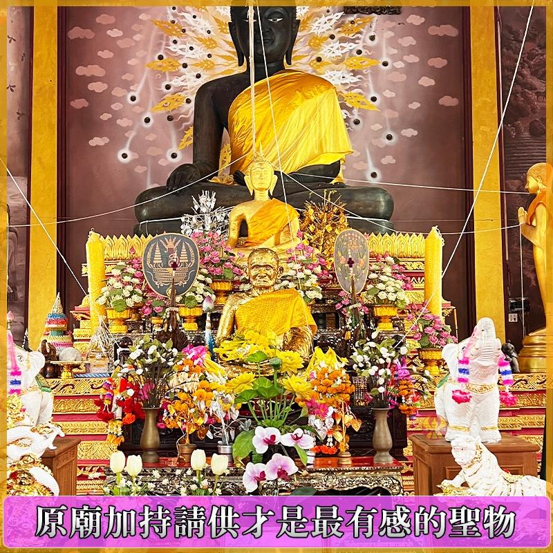 通寶佛牌 泰國聖物 清債招財龜龍婆銀 龍婆艮 清債龜 招財 清債 催財 致富 卡債 房貸 快速還款-細節圖8