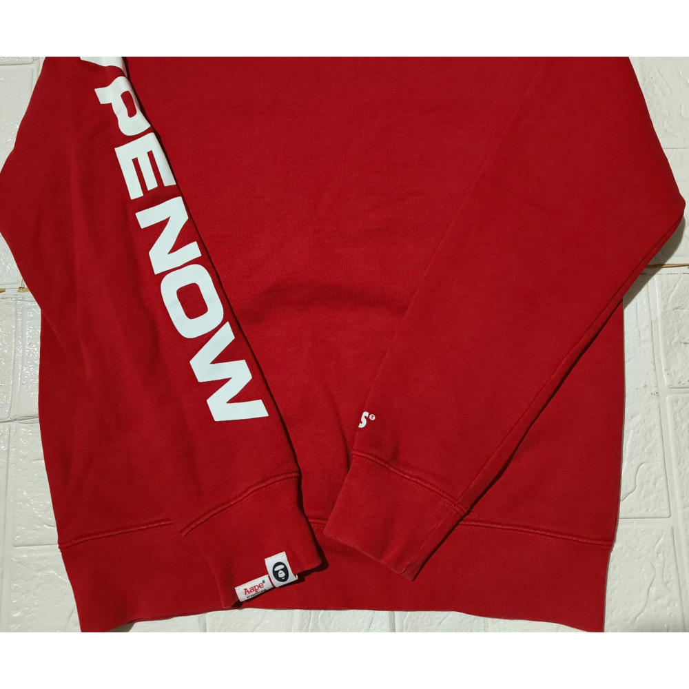 (9591) AAPE 長袖上衣 胸圍98 衣長59-細節圖8