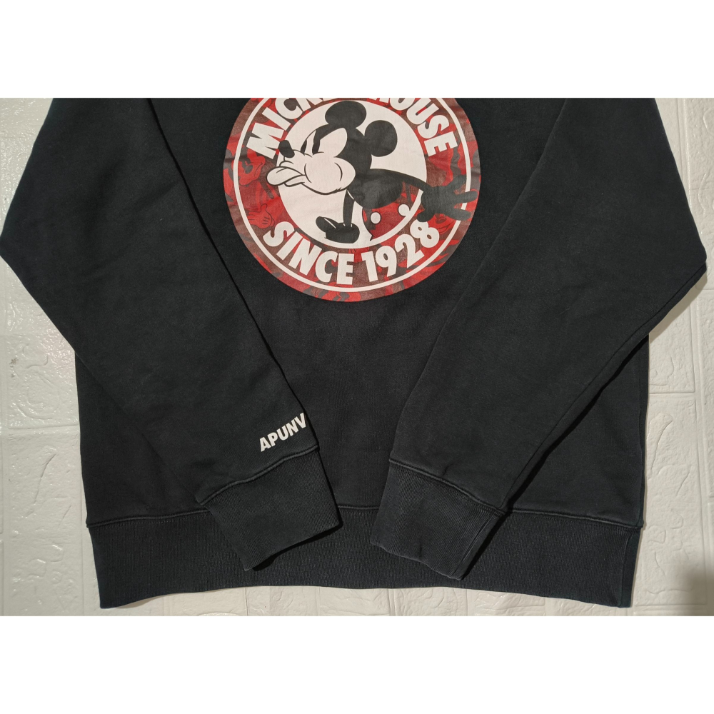 (0767) AAPE 長袖上衣 胸圍120 衣長66-細節圖2