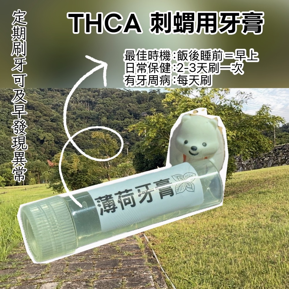 THCA 刺蝟用牙膏｜日常口腔清潔保養-規格圖2
