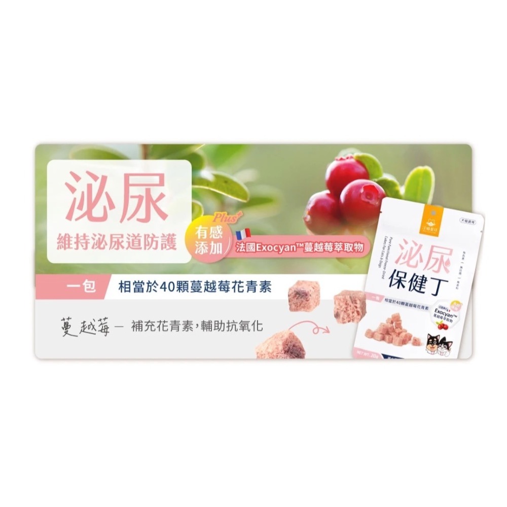 汪喵星球｜ 機能保健丁｜點心，勿取代正餐-細節圖2