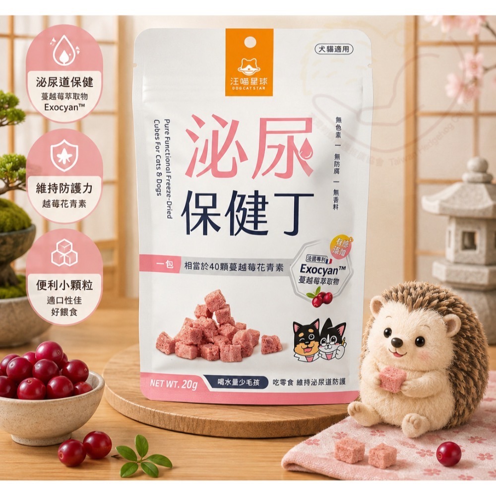 汪喵星球｜ 機能保健丁｜點心，勿取代正餐-規格圖5