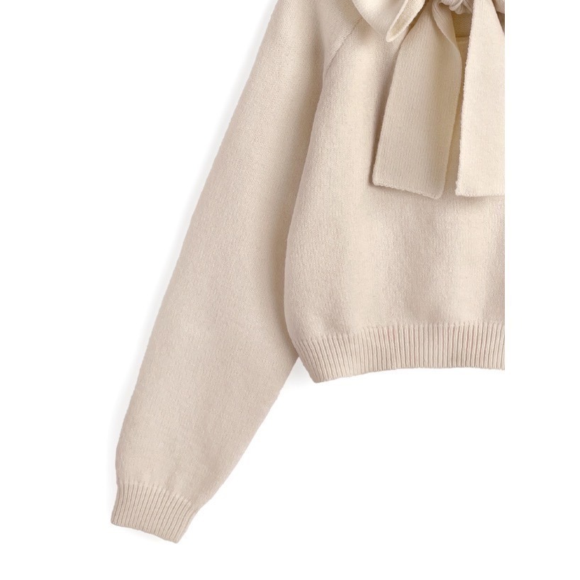 Anita Japan代購 🌸 日本 GRL 休閒百搭 連帽綁帶針織 長袖 針織 連帽 an1925-細節圖10