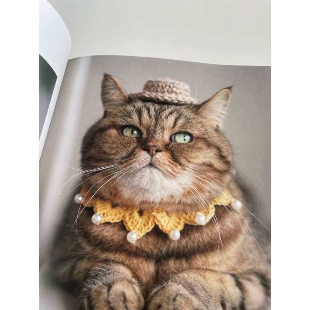 日文編織書 貓咪寅次郎與鉤針編織小物寫真＆製作手藝集-細節圖6