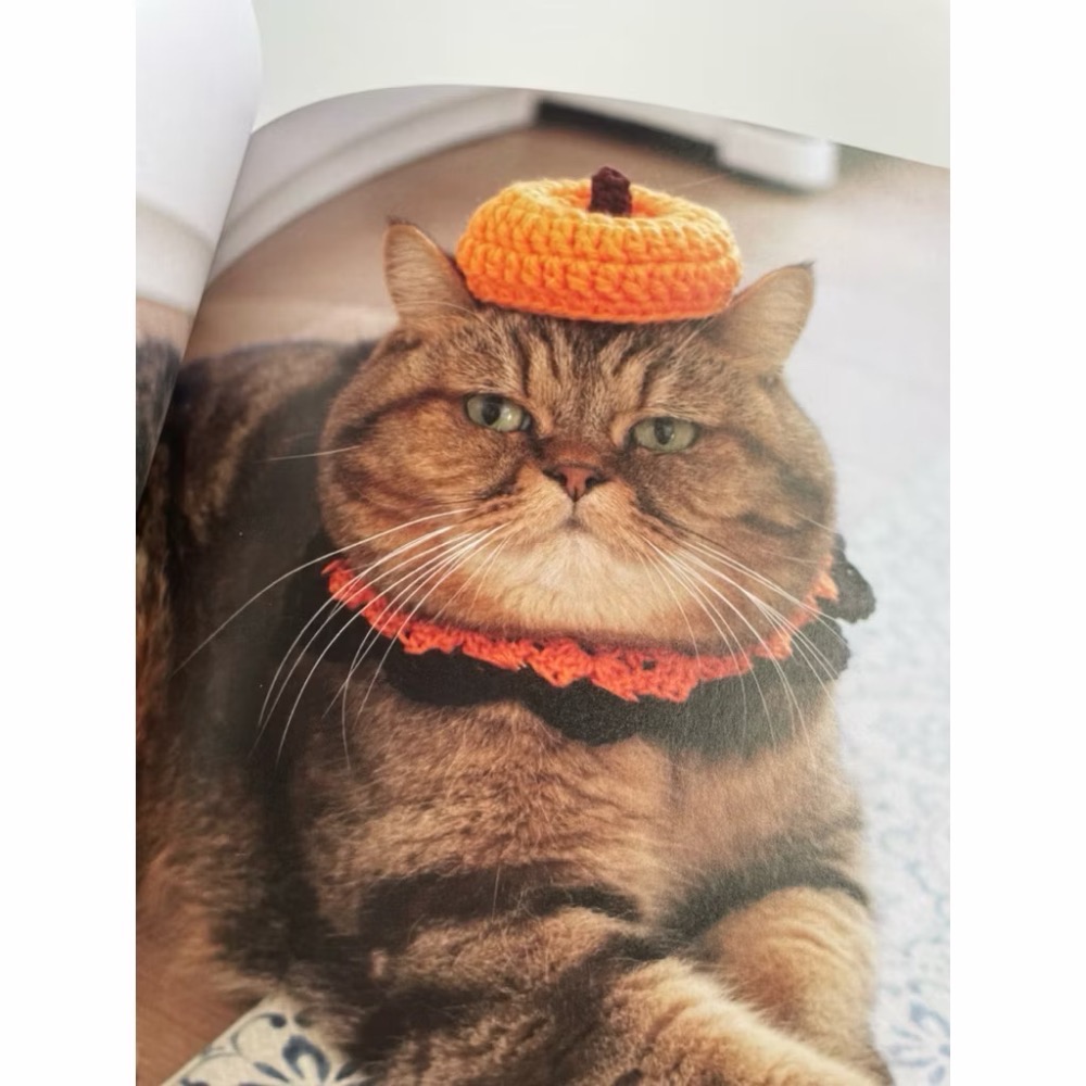 日文編織書 貓咪寅次郎與鉤針編織小物寫真＆製作手藝集-細節圖7