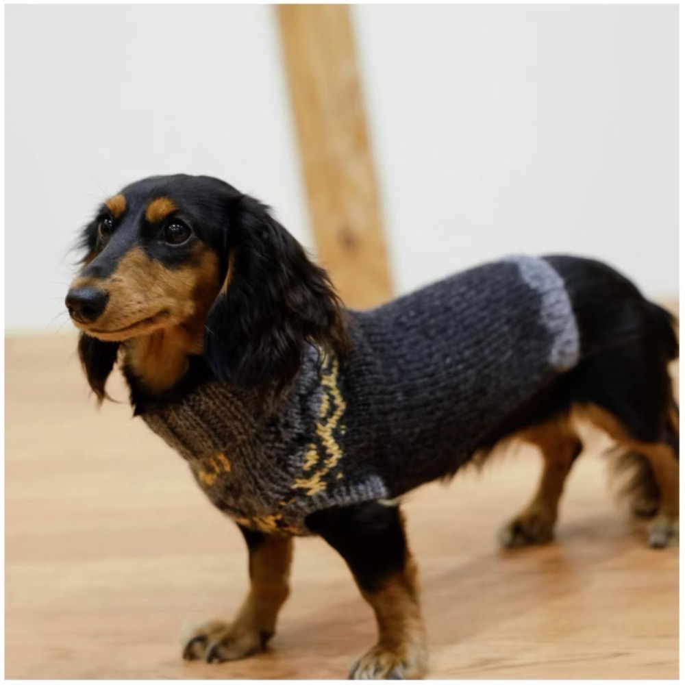 日文編織書 手編棒針編織可愛小狗溫暖服飾小物作品集-細節圖3