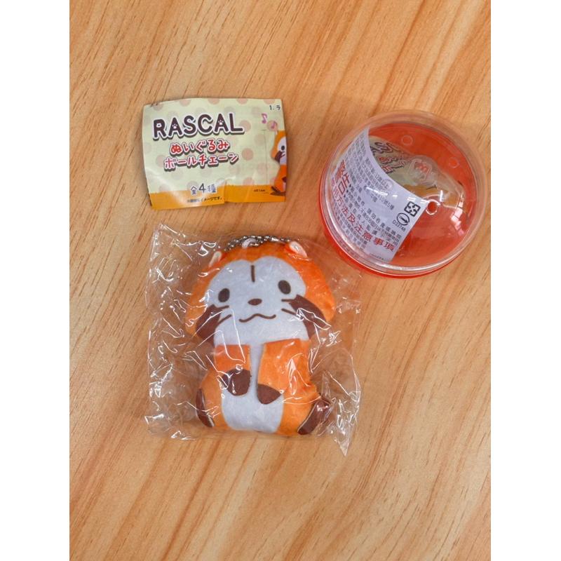 夢屋 小浣熊玩偶吊飾 扭蛋 RASCALぬいぐるみボールチェーン-細節圖8