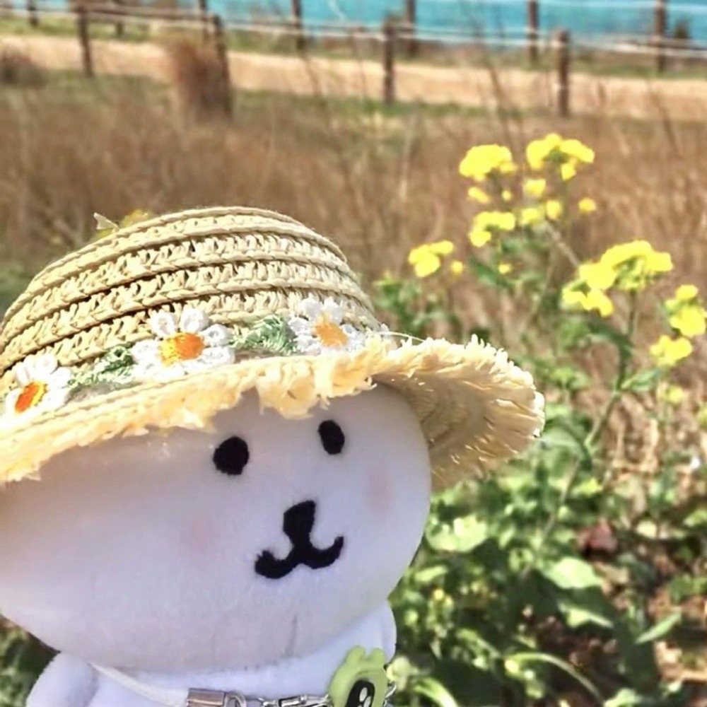 娃娃配件 雛菊草帽+眼鏡 （不含娃娃）夏日出遊必備 適用3~5吋人形娃娃-細節圖9
