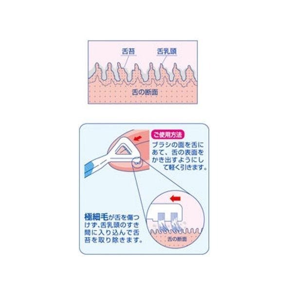 日本 EBiSU 惠百施 舌苔刷💗口臭對策  舌苔清潔刷 舌苔清潔器 刮舌器 銀離子 Ag+ 刷毛 軟膠-細節圖3