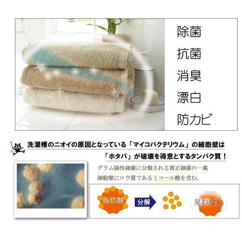 HOTAPA 天然貝殼 洗衣槽清潔錠 日本 洗槽錠 洗槽劑 洗衣槽劑 洗衣機 除菌 無毒 敏感肌-細節圖3