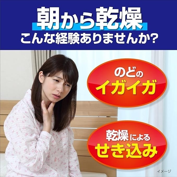 日本 小林製藥 睡眠 加濕口罩 日用 夜用 保濕口罩 口罩 蒸氣 平面口罩 立體口罩-細節圖9