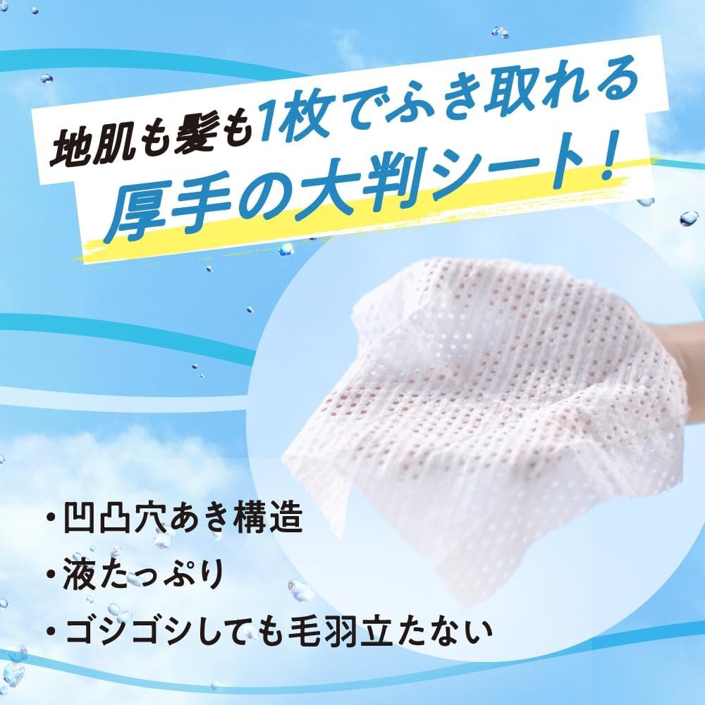 日本 Kao 花王 merit DAY+ 乾洗髮濕巾12枚入 濕紙巾 乾洗髮 懶人必備 柔順 蓬鬆 油頭救星-細節圖4