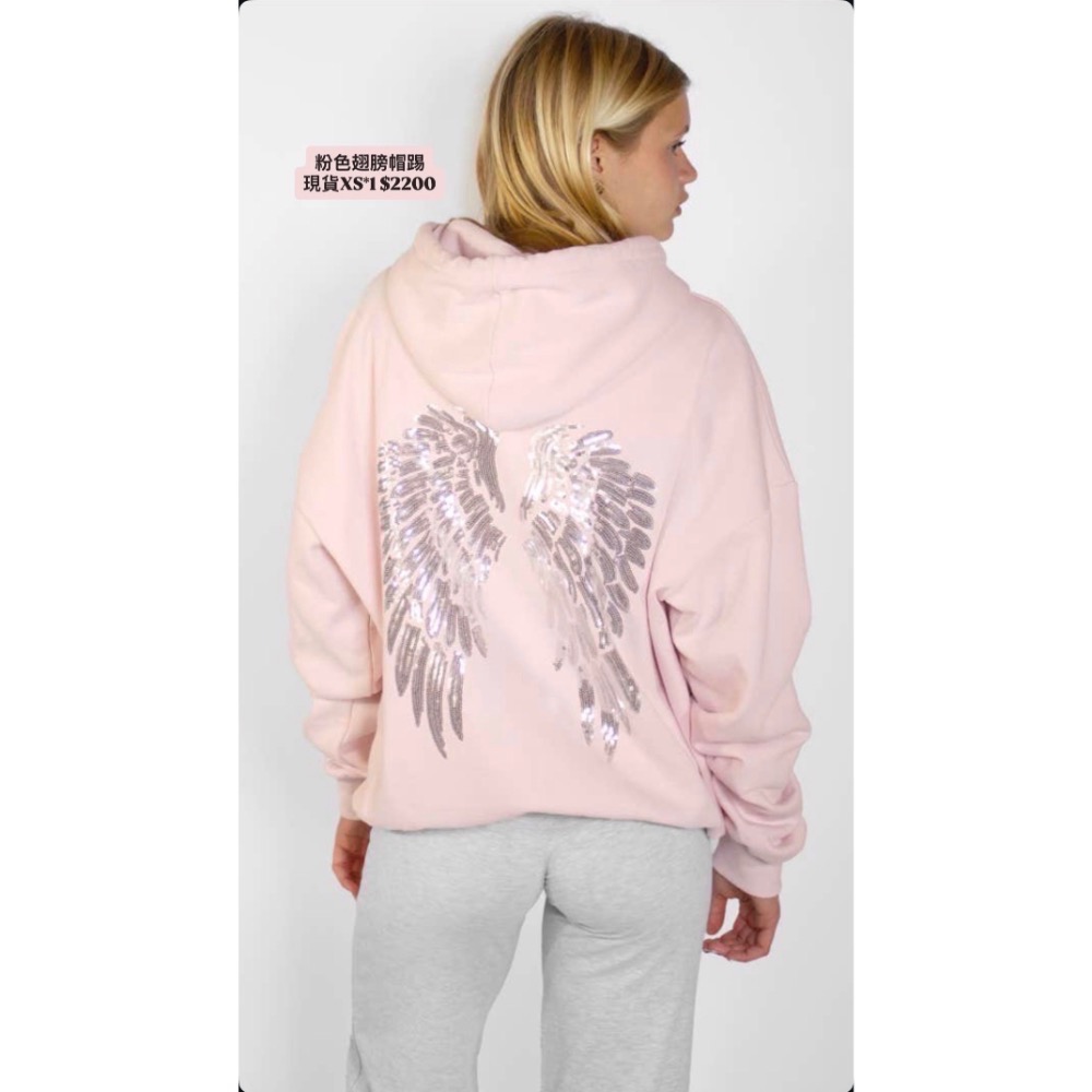 Subdued Sequin Wings Hoodie-規格圖1