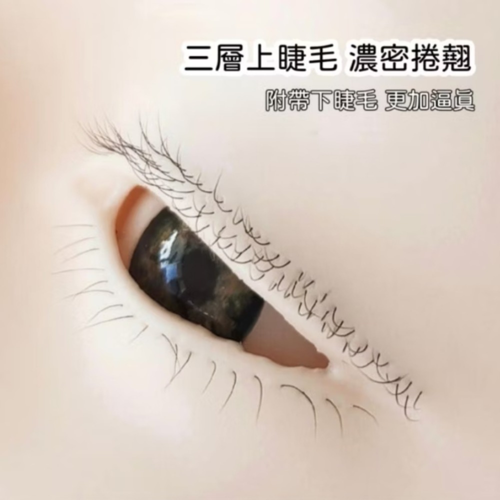 🎀美睫練習 人頭 模特🎀練習人頭 小美 練習假睫毛-細節圖2