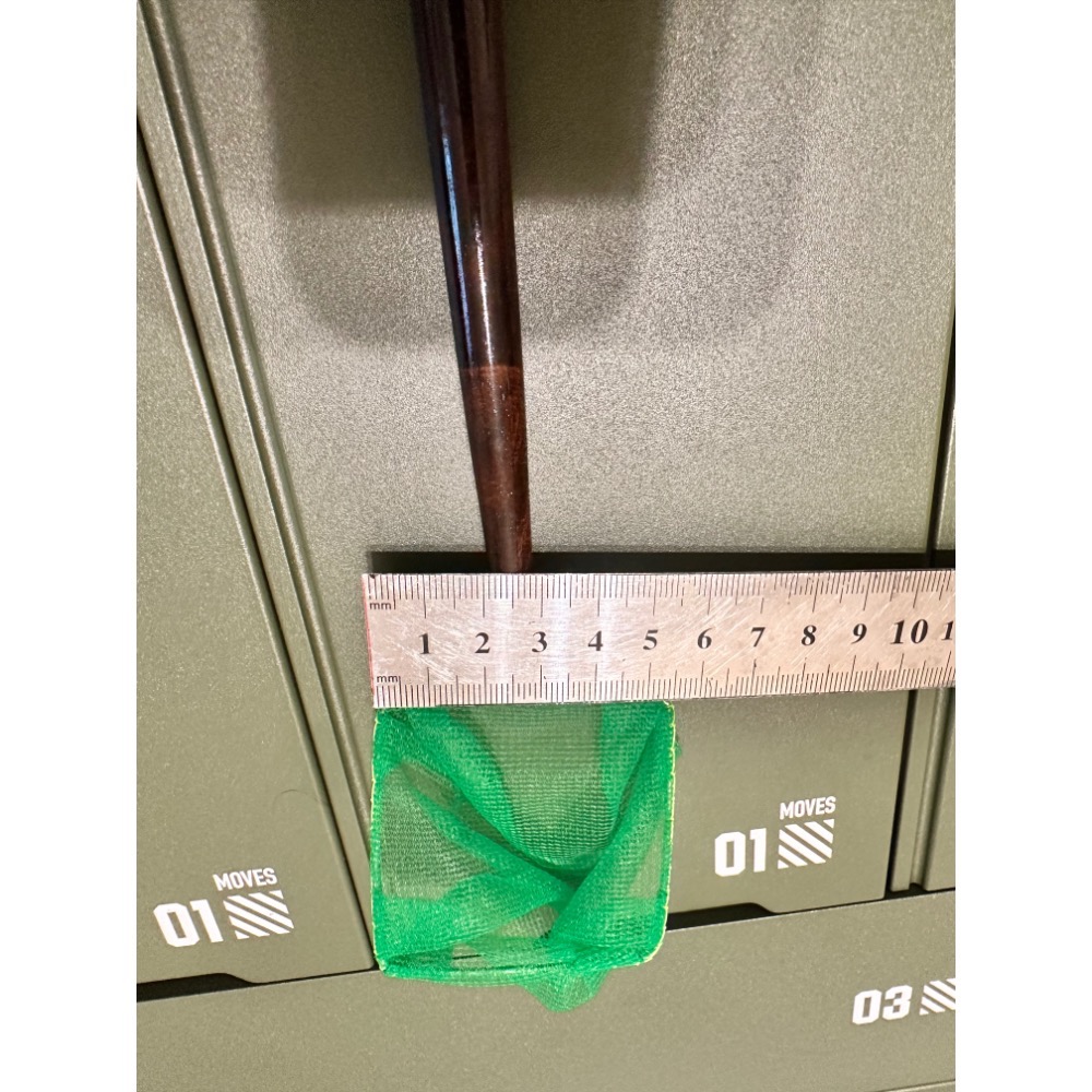 泰國🇹🇭進口高級純手工2合一撈魚訓練棒-綠-細節圖3