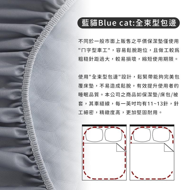 【藍貓BlueCat】石墨烯100%防水保潔墊 功能型保潔墊-細節圖4