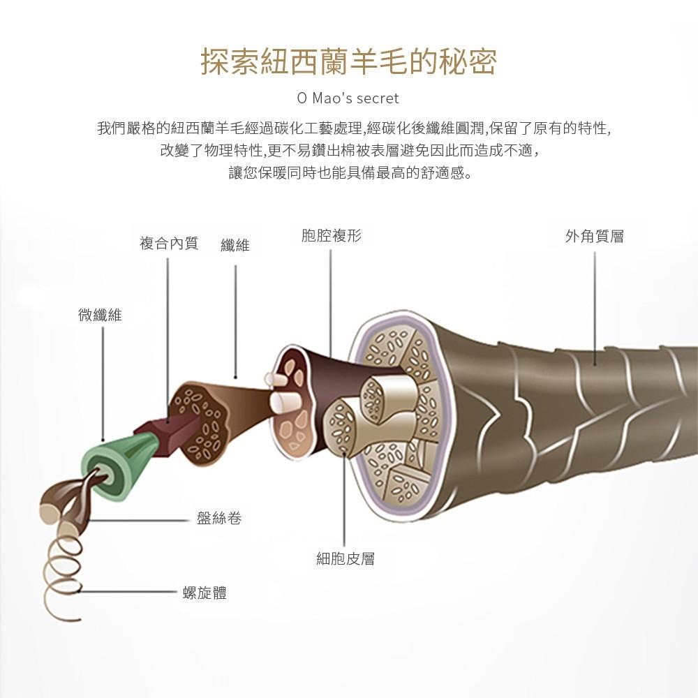 【藍貓BlueCat】台灣製造 頂級發熱羊毛被/被胎棉被-細節圖3