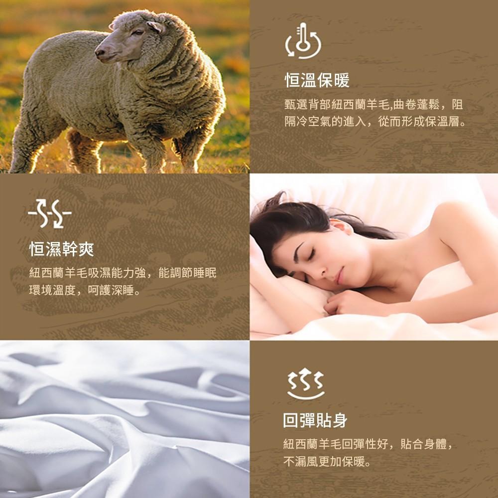 【藍貓BlueCat】台灣製造 頂級發熱羊毛被/被胎棉被-細節圖6