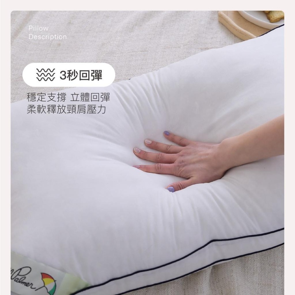 Arnold Palmer 阿諾帕瑪 立體羽絲絨枕-細節圖3