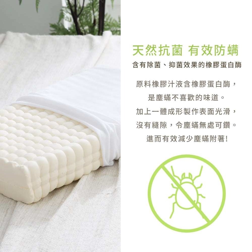【藍貓BlueCat】天然乳膠枕 彈力支撐 乳膠枕 枕頭 民宿愛用枕頭/記憶枕/護頸枕 防螨-細節圖5