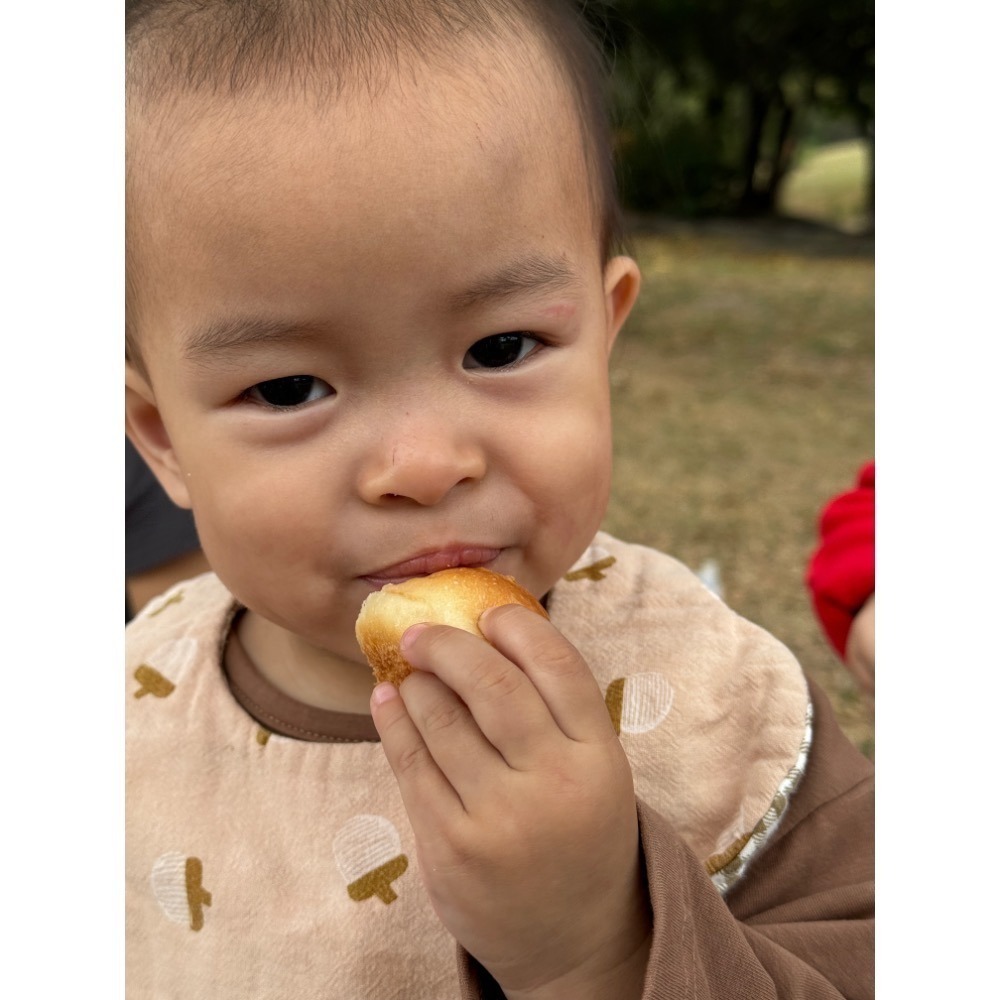 喬媽灶咖｜圓圓小麵包｜10m+ 寶寶副食品、手指食物、寶寶點心-細節圖4