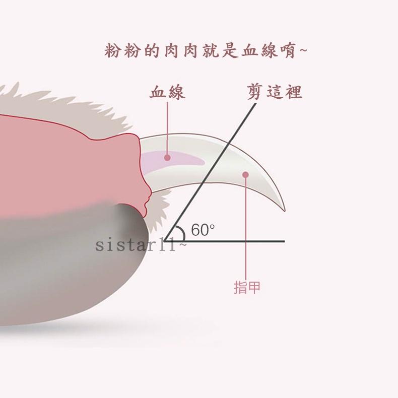 現貨🔴熱銷破千 LED 寵物指甲剪 寵物 LED指甲剪 寵物LED指甲剪 燈剪 LED燈剪 寵物燈剪 指甲剪  寵物用品-細節圖4